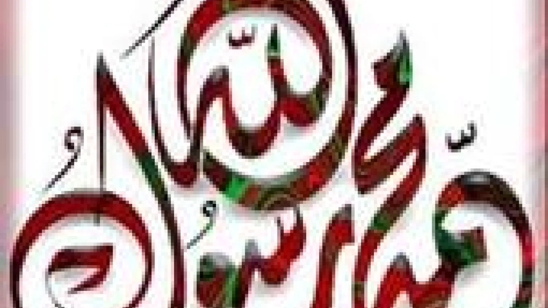 Vrline Muhammeda, s.a.v.s.