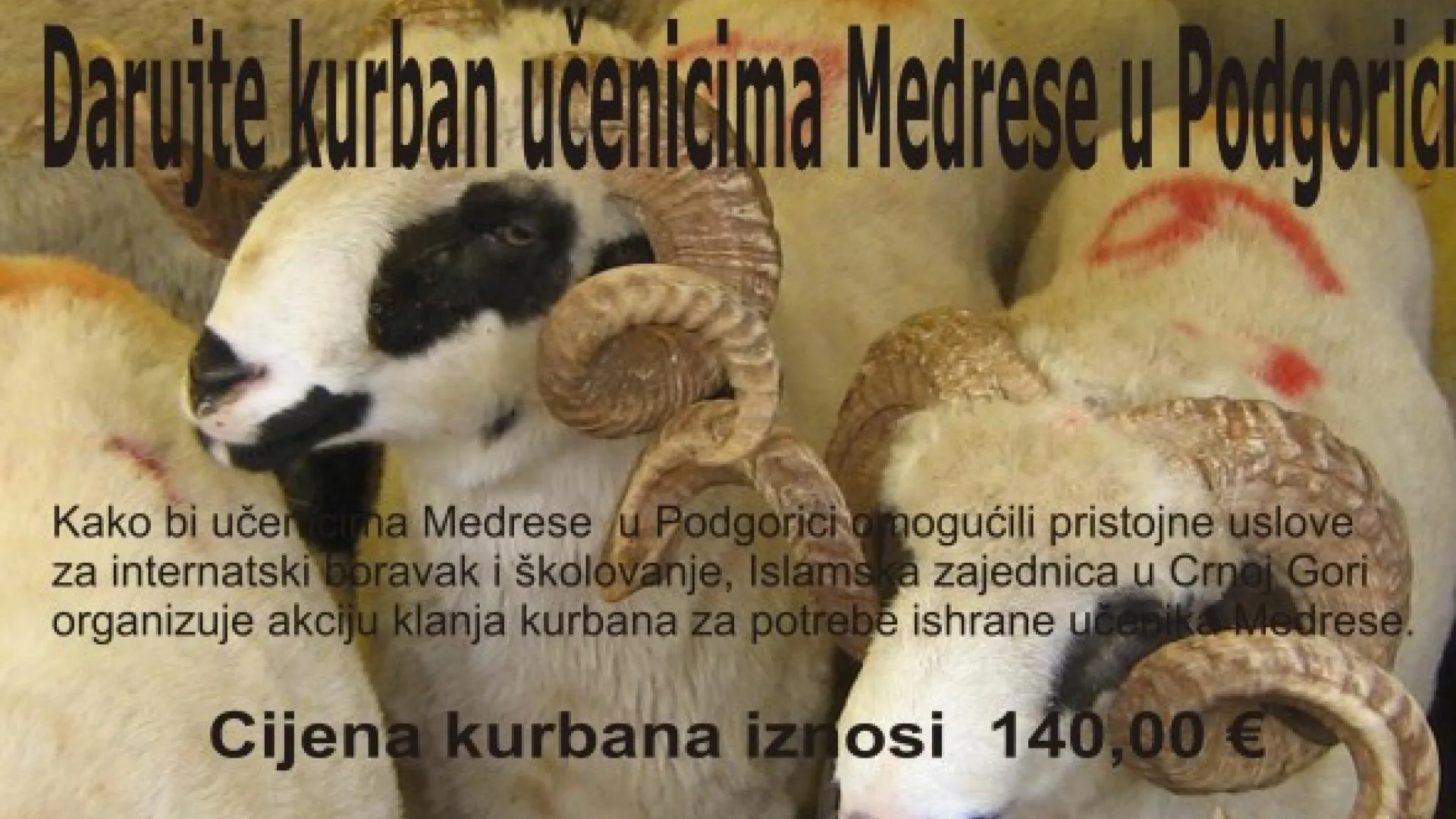 AKCIJA 2010 - KURBAN za Medresu u Podgorici