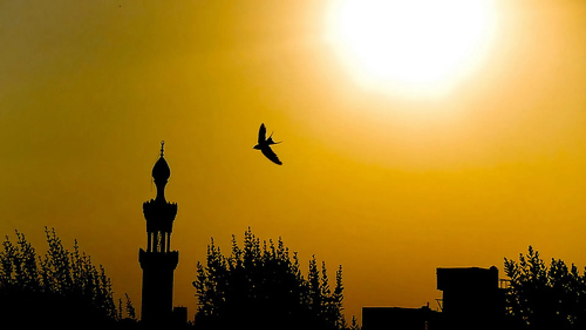 Prva ramazanska hutba (Ramazan 1432.h. 2011)