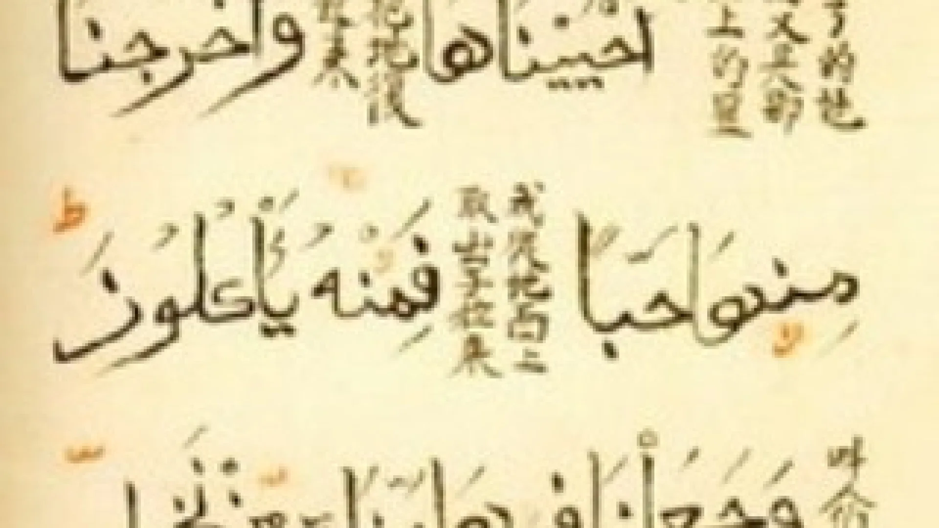 Islam u Kini