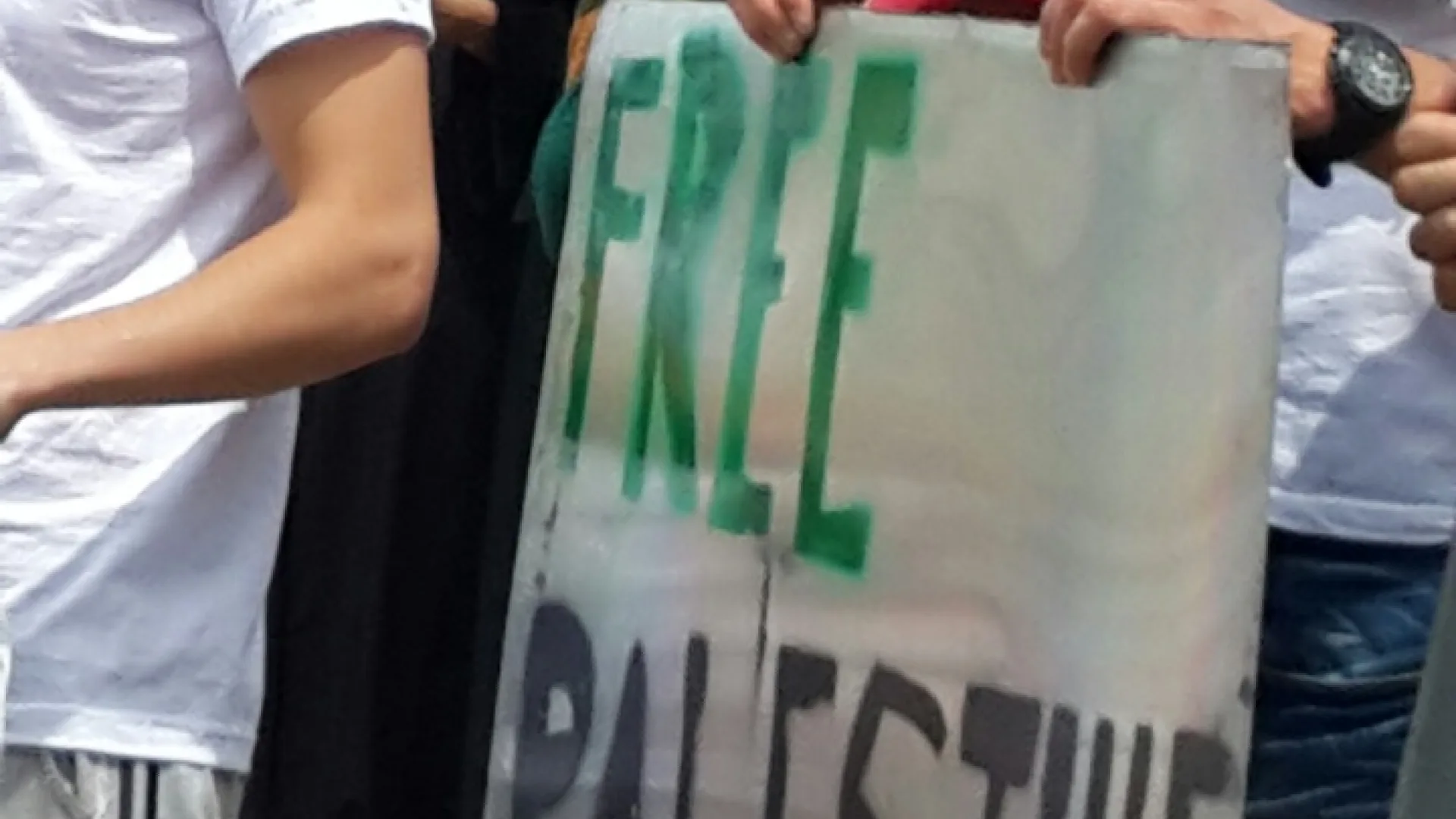 Podrška Palestini u Plavu