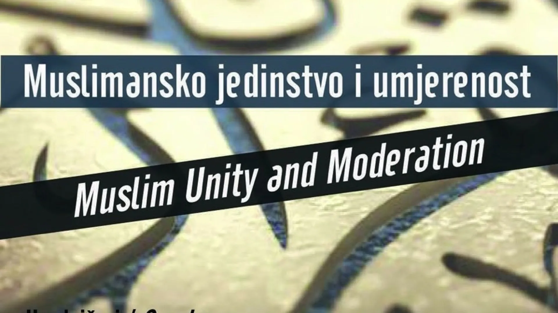 Dr Tarik Ramadan opet u Crnoj Gori