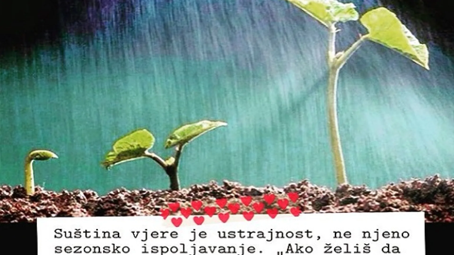 Ders sedamnaesti