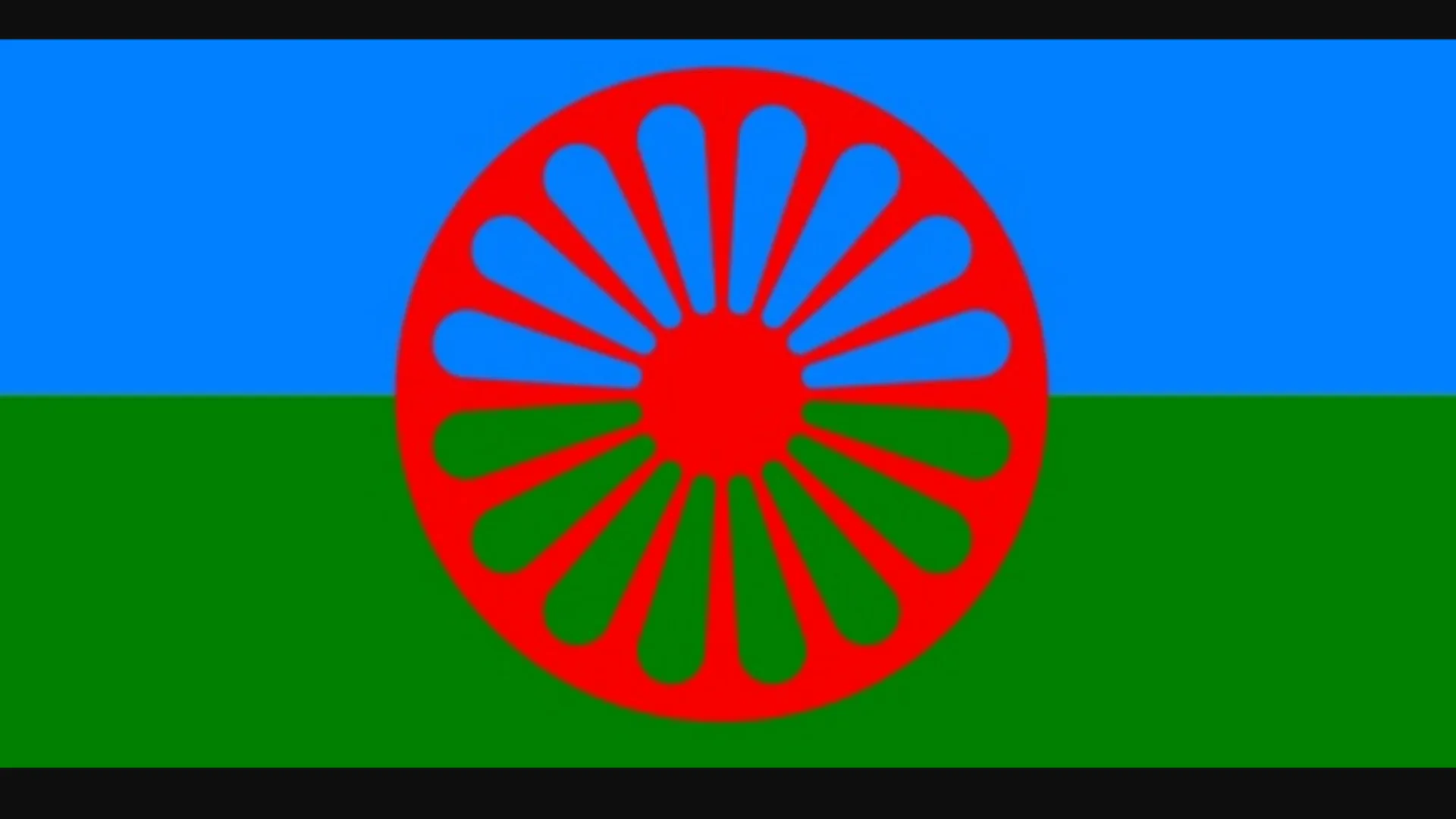 Reis Fejzić čestitao Međunarodni dan Roma