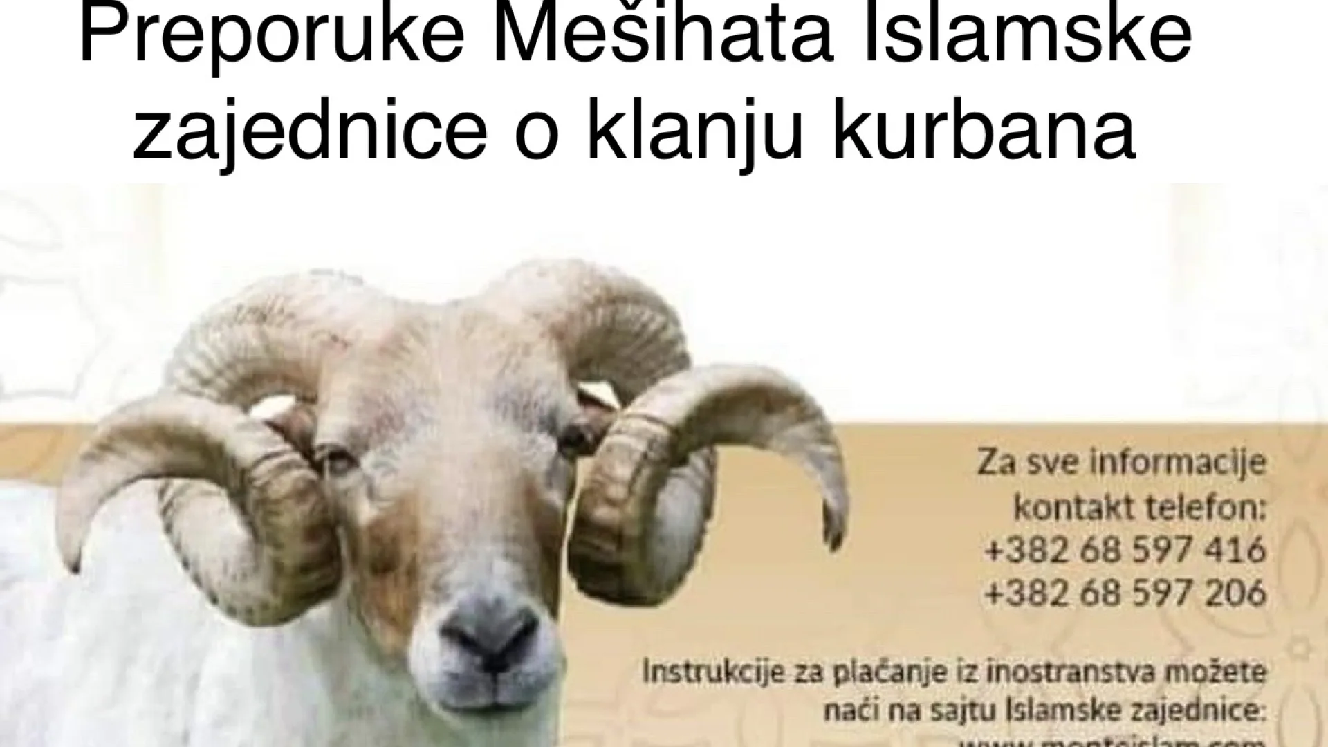 Preporuke Mešihata Islamske zajednice o klanju kurbana
