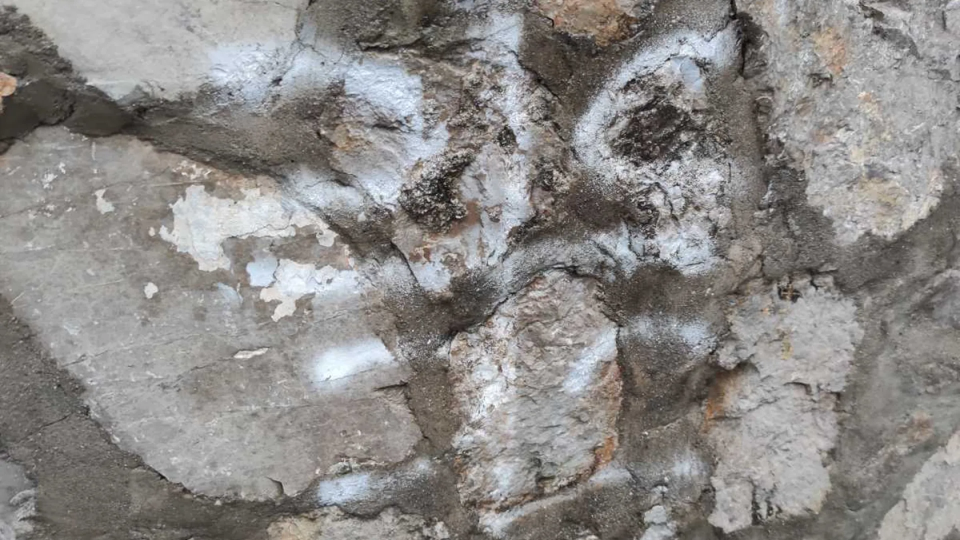 Uznemiravajući grafit ispisani na haremu Osmanagića džamije