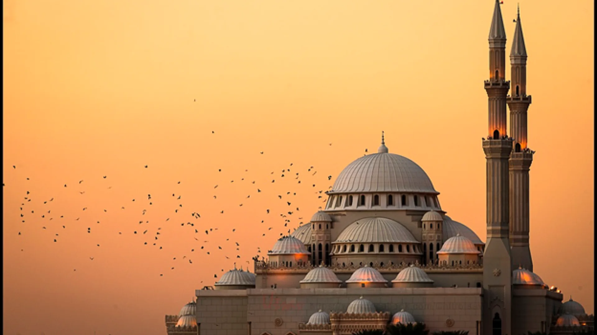Utočište za ptice: muslimanska civilizacija