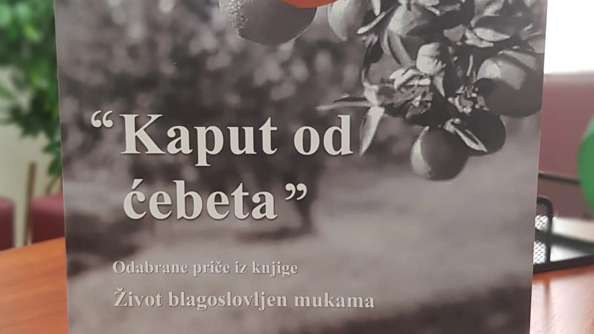 "Kaput od ćebeta" - Nova knjiga u izdanju IZ-e Crne Gore