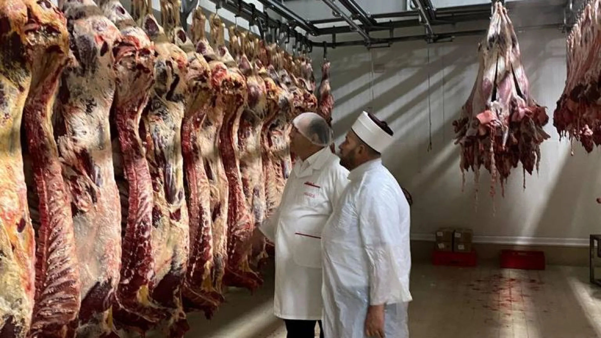 NASTAVLJENA AKCIJA KLANJA KURBANA ZA UČENIKE MEDRESE