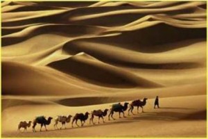 Hadžadž i beduin - Dijalog o postu